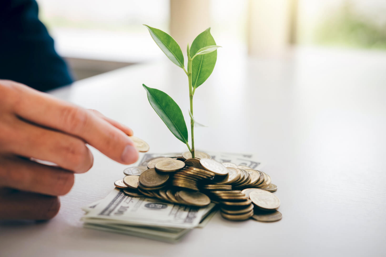 Hands of businessman putting coin into plant sprouting growing from golden coins and banknotes, business investment and strategy concept.